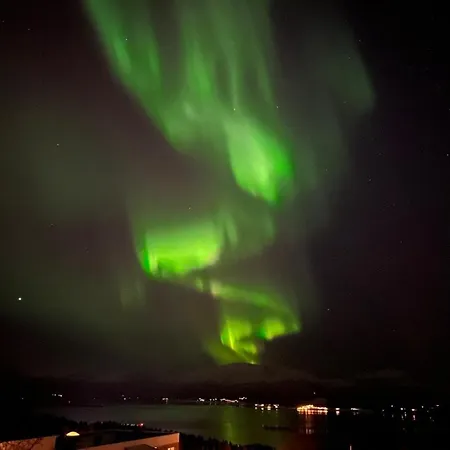 Bright And Modern In Elverhoy - Close To The Center